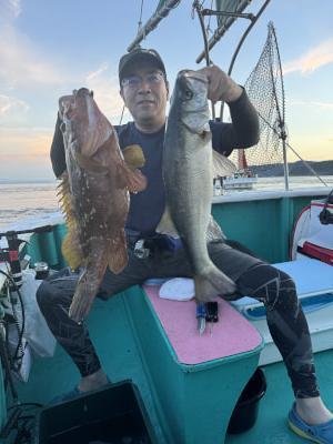 ヒラスズキ・アコウ(キジハタ)