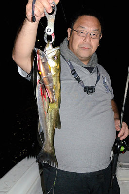 シーバス(スズキ)