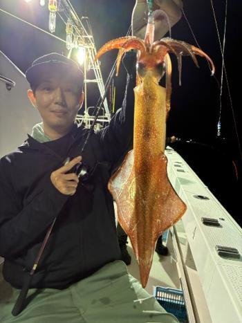 マイカ(ケンサキイカ)