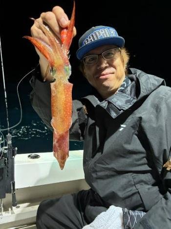 マイカ(ケンサキイカ)