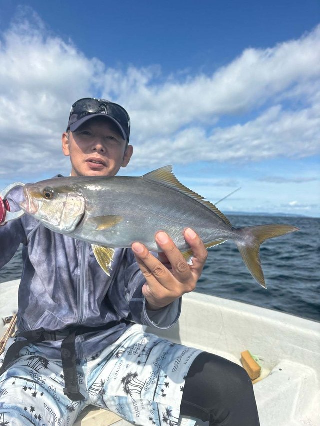 シオ(カンパチ)