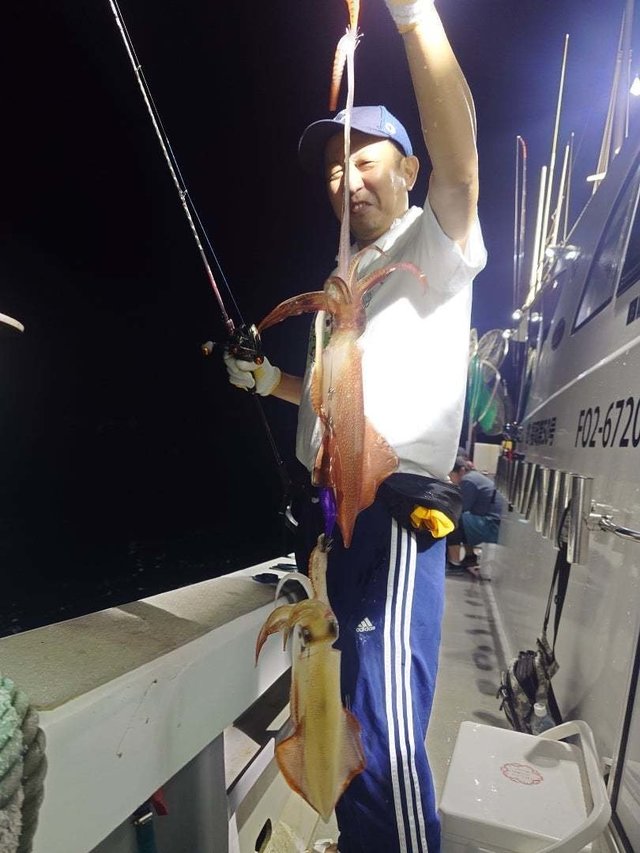 イカ(ケンサキイカ)