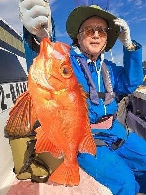 キントキ(チカメキントキ)