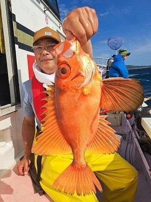 キントキ(チカメキントキ)