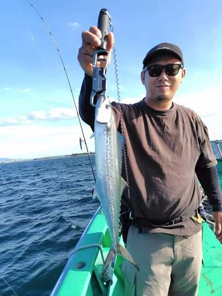 サゴシ(サワラ)