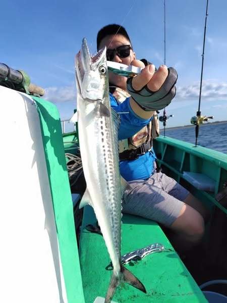 サゴシ(サワラ)