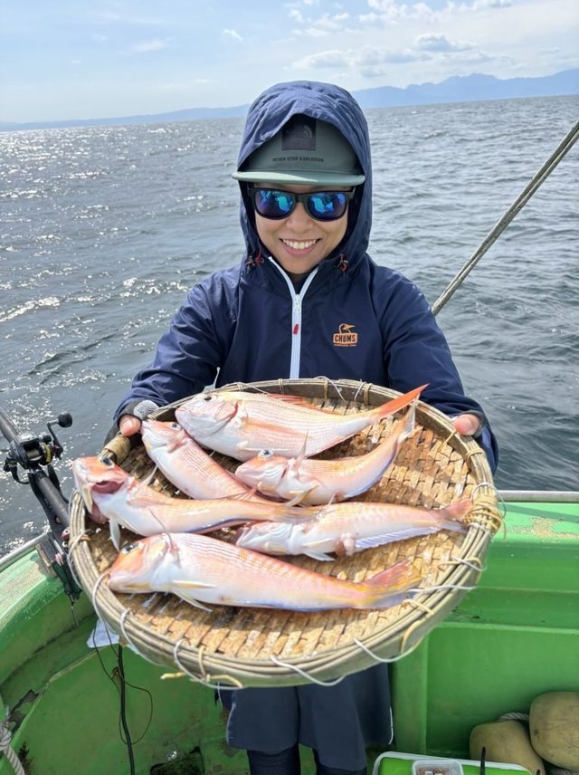 アマダイ(アカアマダイ)