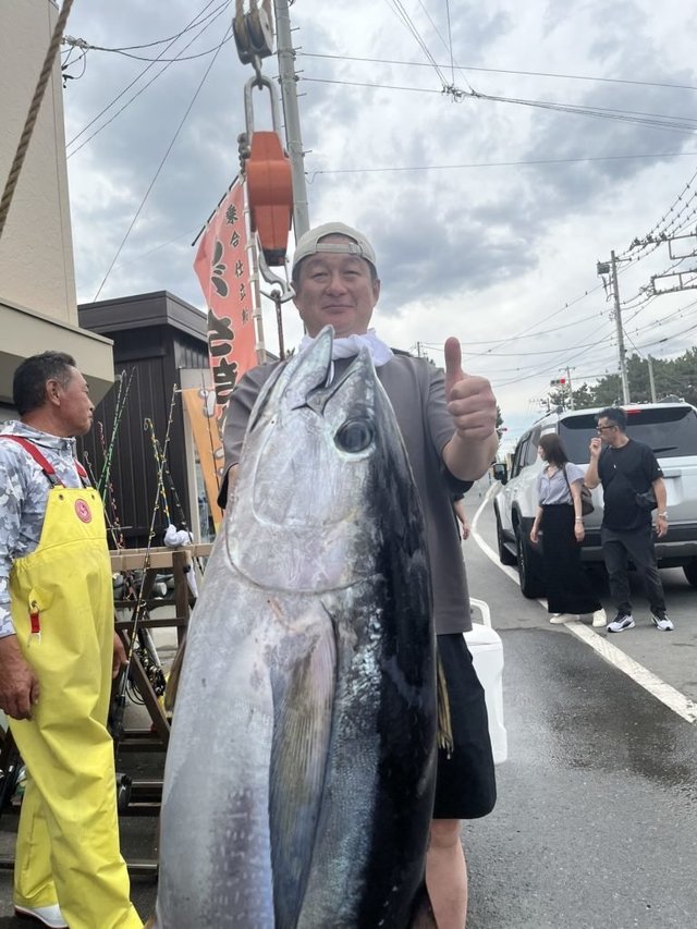 キメジ(キハダ)