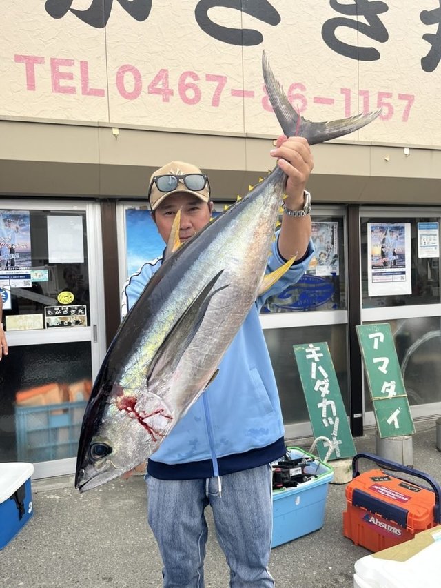 キメジ(キハダ)