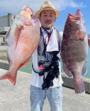 マダイ・マハタ