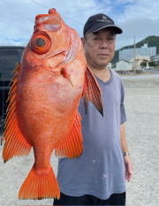 キントキ(チカメキントキ)