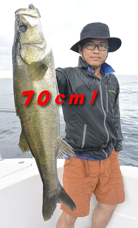 シーバス(スズキ)