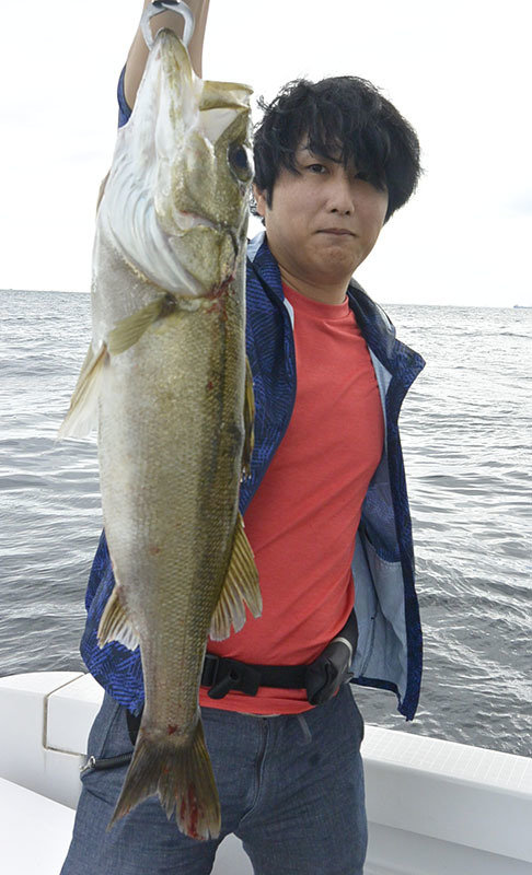 シーバス(スズキ)