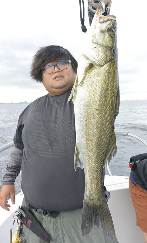 シーバス(スズキ)