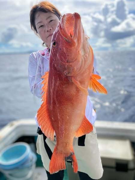 グルクン(タカサゴ)