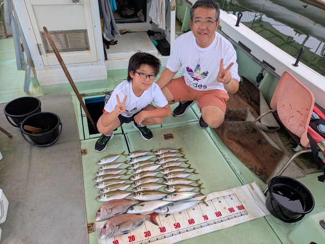 タイ(マダイ)・アジ(マアジ)・マサバ