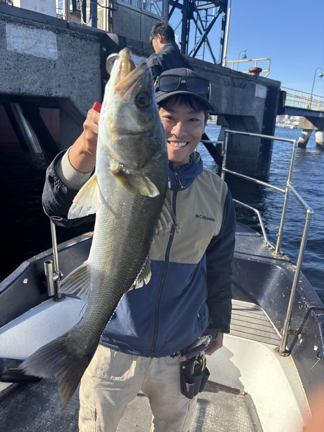 シーバス(スズキ)