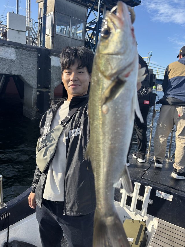 シーバス(スズキ)