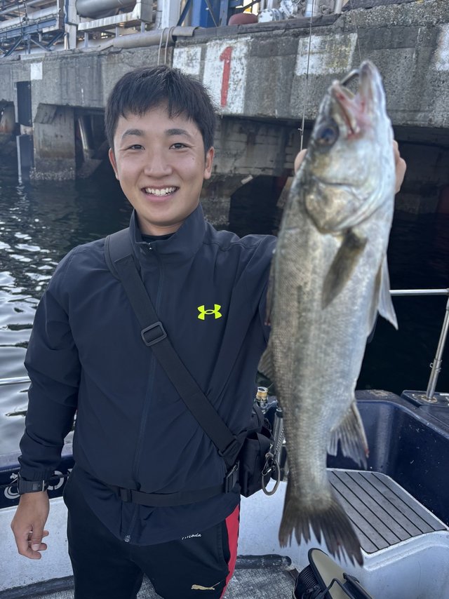 シーバス(スズキ)