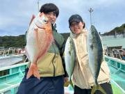 マダイ・イナダ(ブリ)