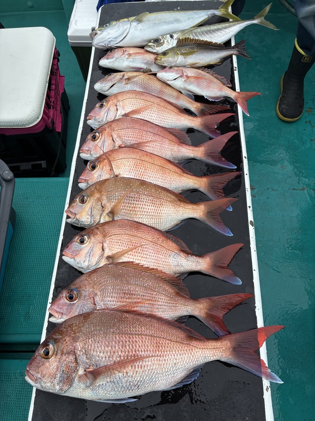 マダイ・チダイ