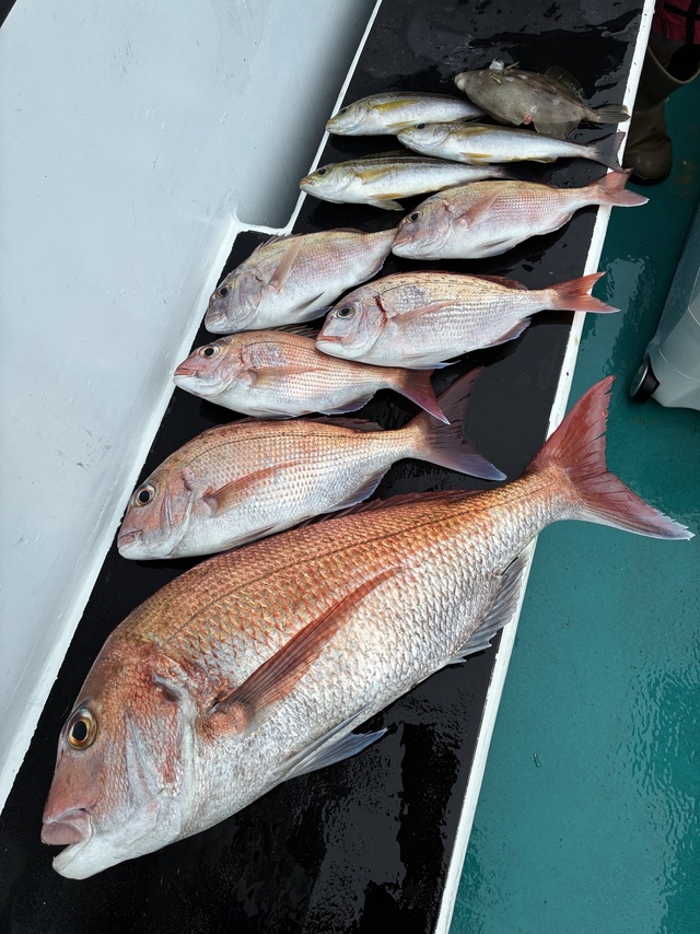 マダイ・チダイ