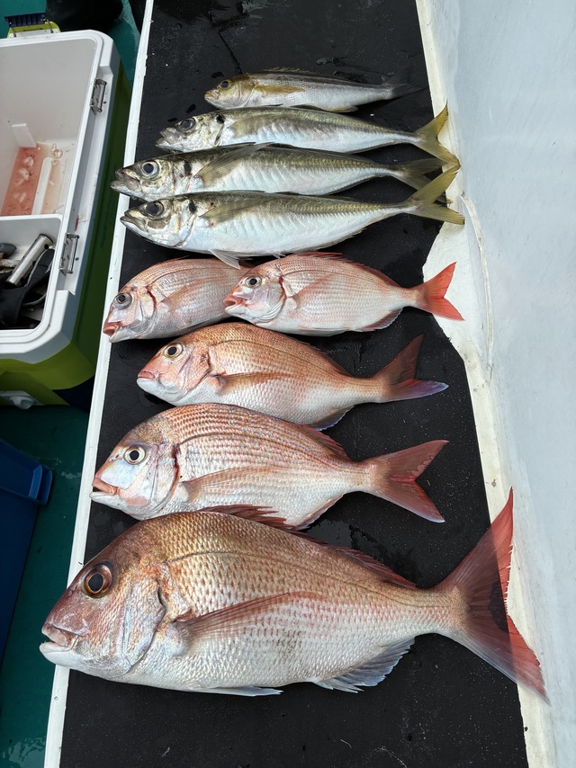 マダイ・チダイ