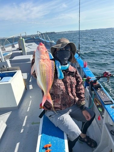 イトヨリ(イトヨリダイ)