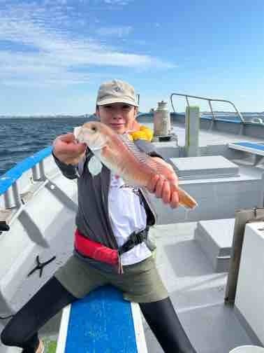 アマダイ(アカアマダイ)