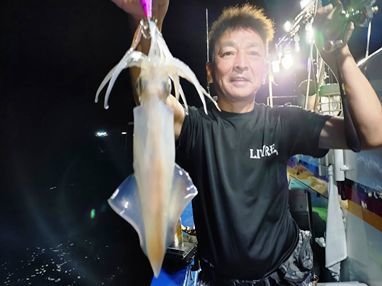 マイカ(ケンサキイカ)