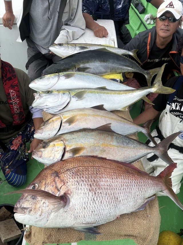 マダイ・ワラサ(ブリ)・カンパチ