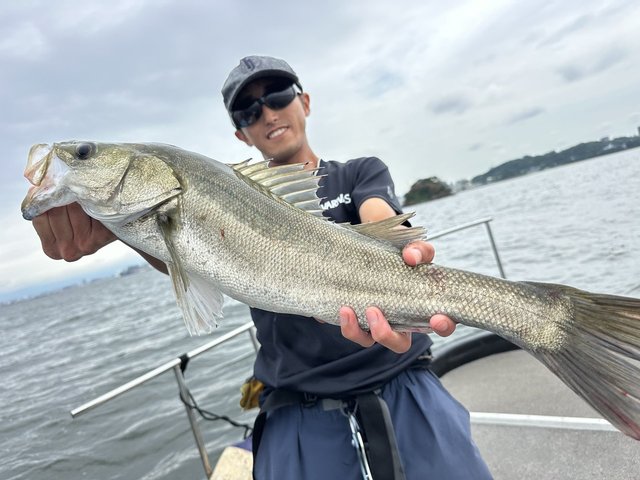 シーバス(スズキ)