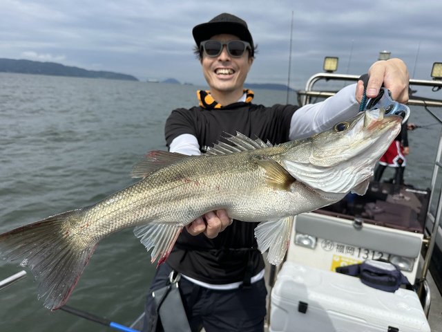 シーバス(スズキ)