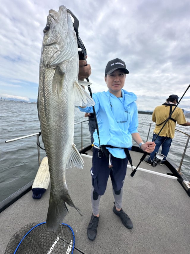 シーバス(スズキ)