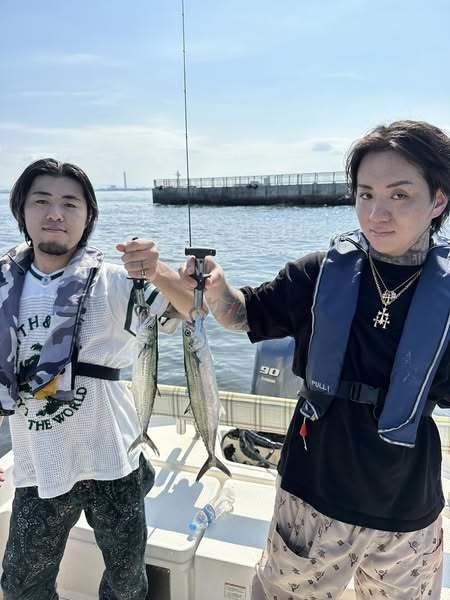 サゴシ(サワラ)