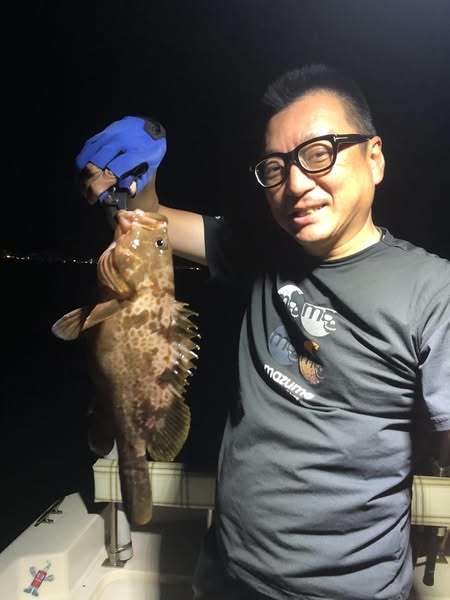 アコウ(キジハタ)