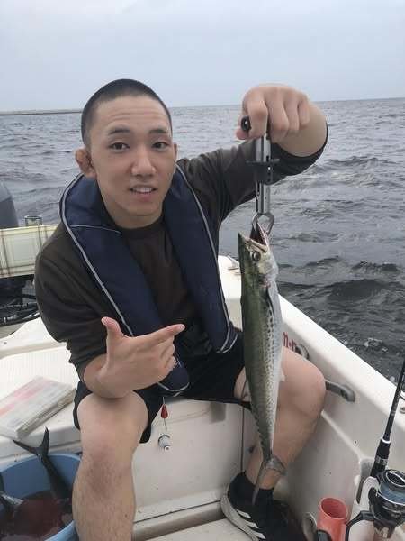 サゴシ(サワラ)