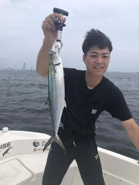 サゴシ(サワラ)