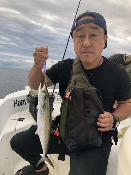 サゴシ(サワラ)