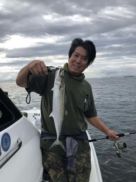 サゴシ(サワラ)