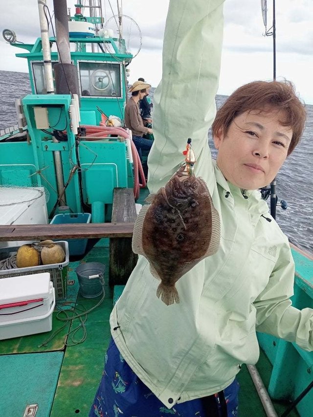 ガンゾウヒラメ(ガンゾウビラメ)