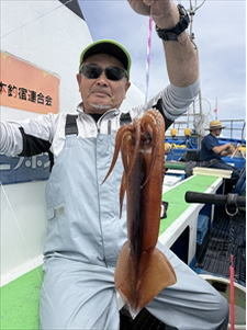 スルメ(スルメイカ)