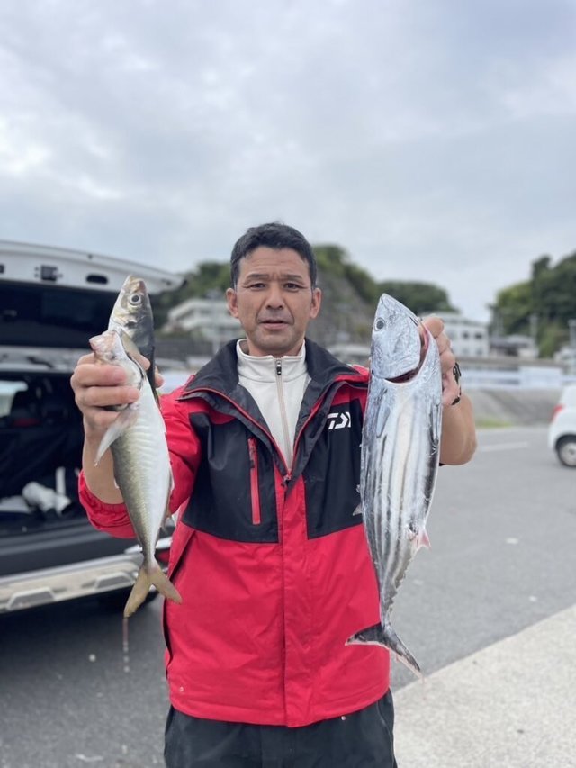 アジ(マアジ)・カツオ