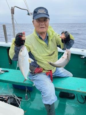 カンパチ・シオ(カンパチ)