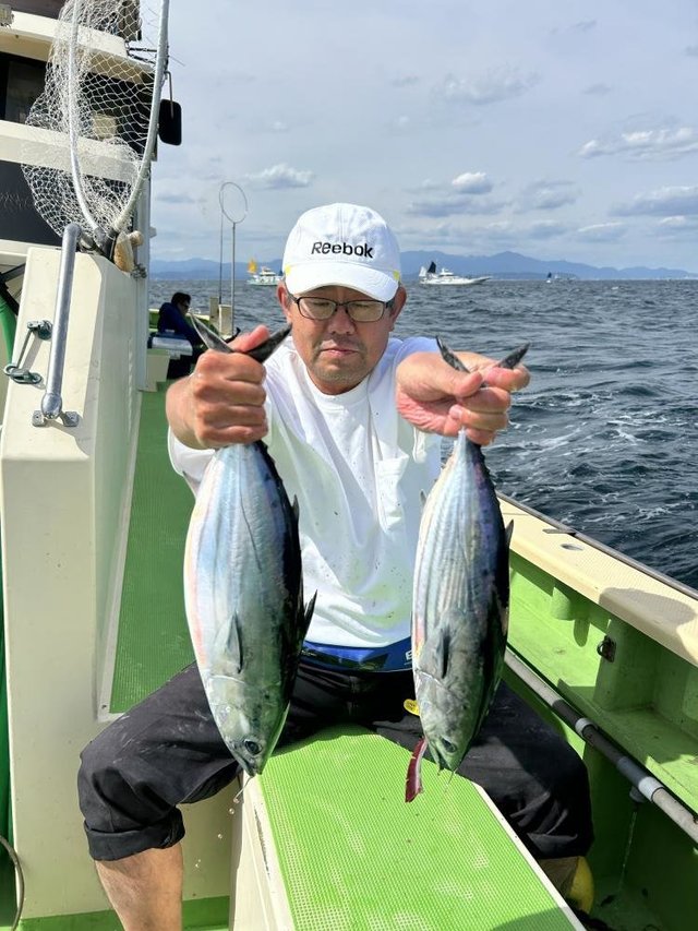 ホンガツオ(カツオ)