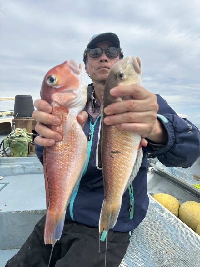 アマダイ(アカアマダイ)