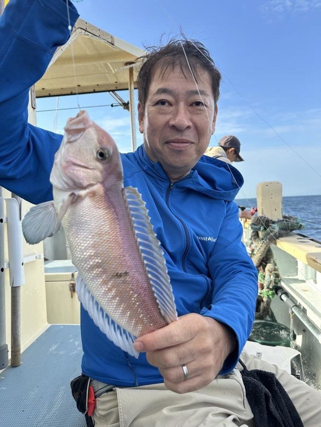 アマダイ(アカアマダイ)