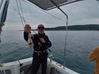 アオリ(アオリイカ)