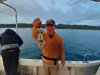 アオリ(アオリイカ)