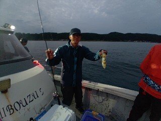 アオリ(アオリイカ)